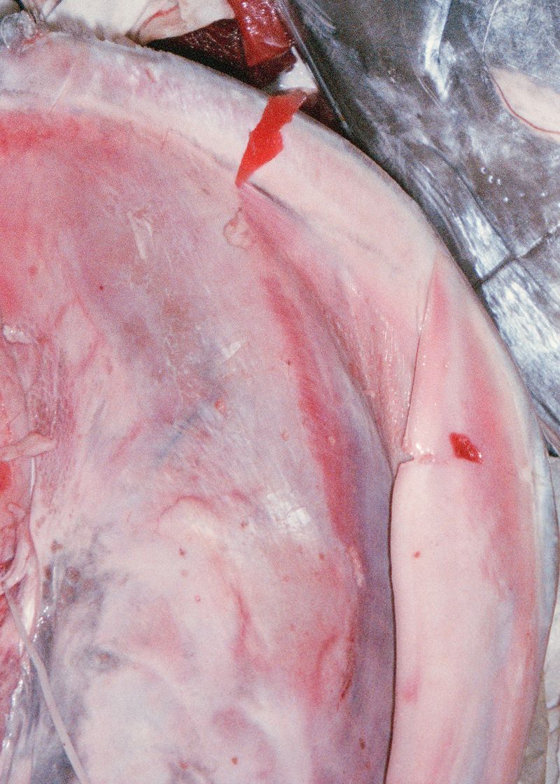 © Olivia Rohde - Image from the Vague photography project