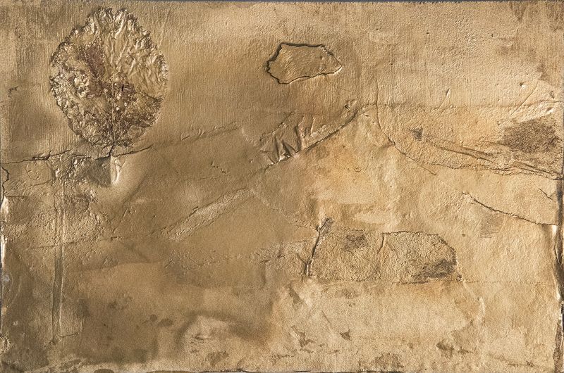 © irene carlevale - Image from the AMONG THE GRASS I FOUND A FLOWER photography project