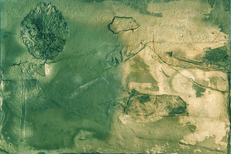 © irene carlevale - Image from the AMONG THE GRASS I FOUND A FLOWER photography project