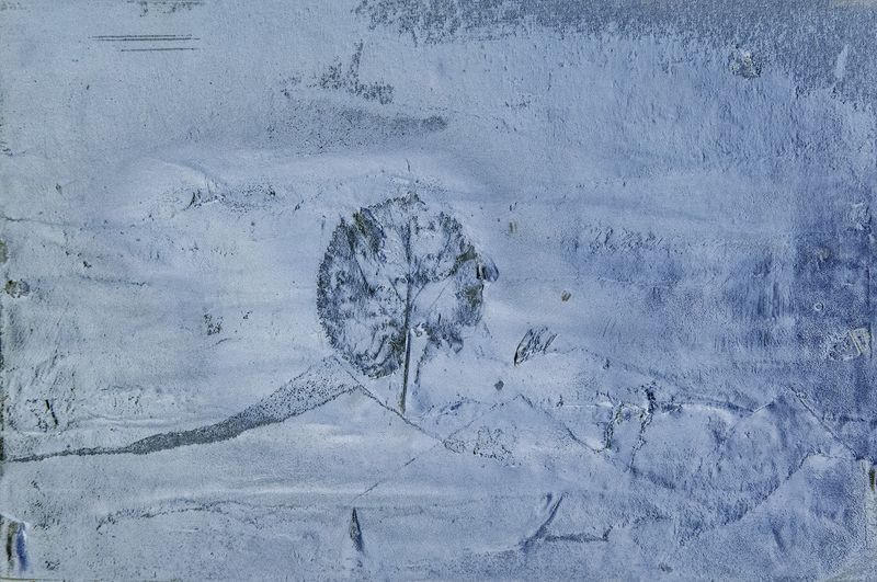 © irene carlevale - Image from the AMONG THE GRASS I FOUND A FLOWER photography project