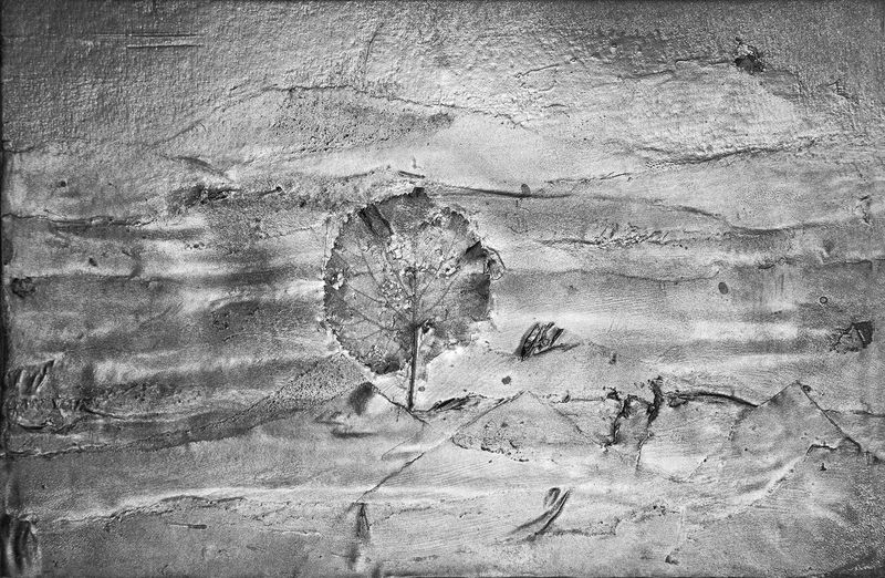 © irene carlevale - Image from the AMONG THE GRASS I FOUND A FLOWER photography project