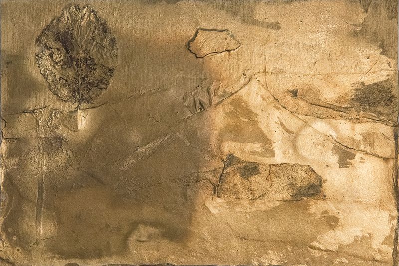 © irene carlevale - Image from the AMONG THE GRASS I FOUND A FLOWER photography project