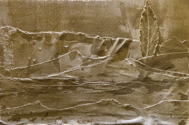 © irene carlevale - Image from the AMONG THE GRASS I FOUND A FLOWER photography project