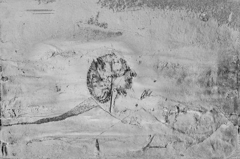 © irene carlevale - Image from the AMONG THE GRASS I FOUND A FLOWER photography project