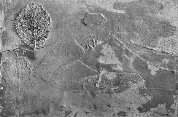 © irene carlevale - Image from the AMONG THE GRASS I FOUND A FLOWER photography project