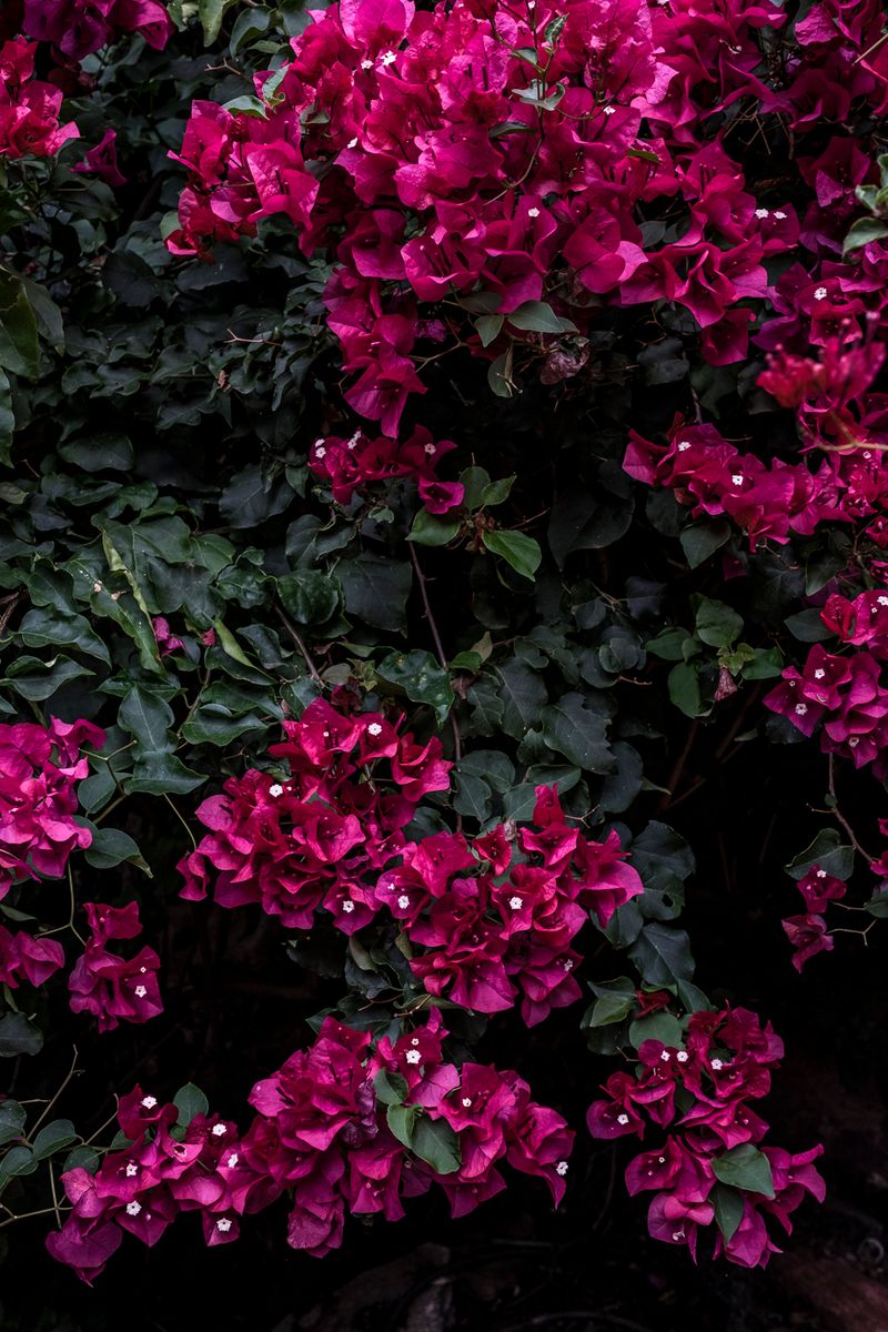 © Miora Rajaonary - Image from the Seeds photography project