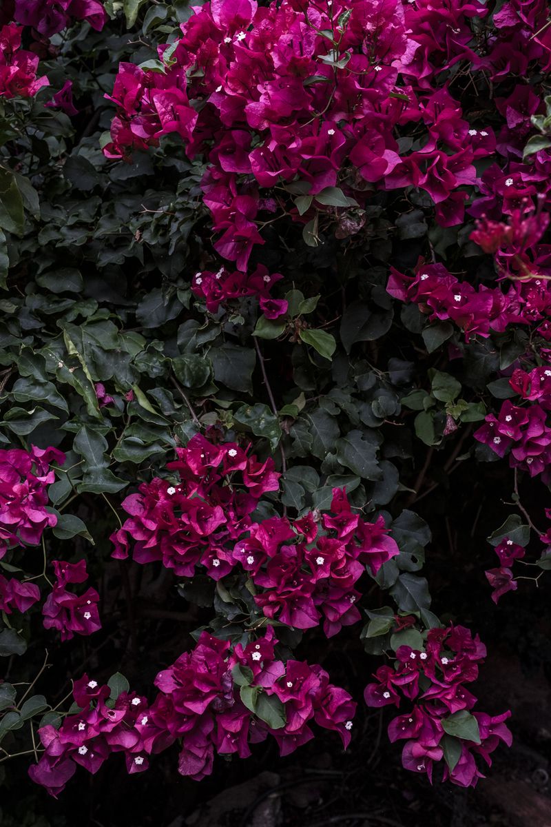 © Miora Rajaonary - Image from the Seeds photography project