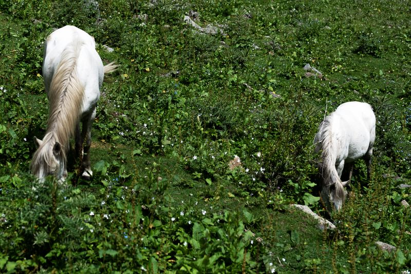 © ahmad shaqlain - Image from the A Naked Boy photography project