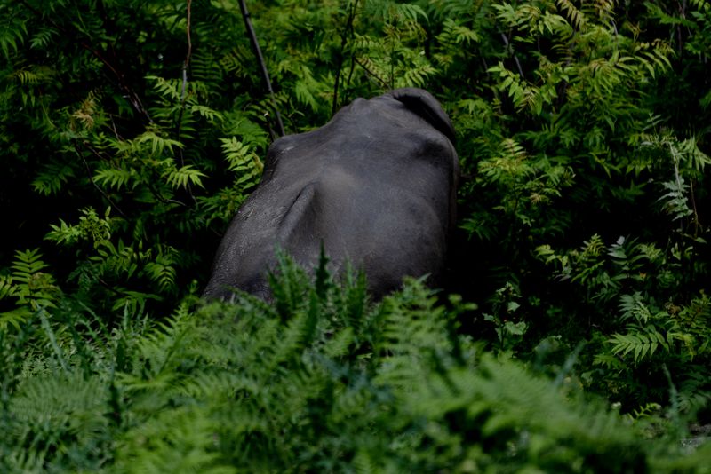 © ahmad shaqlain - Image from the A Naked Boy photography project