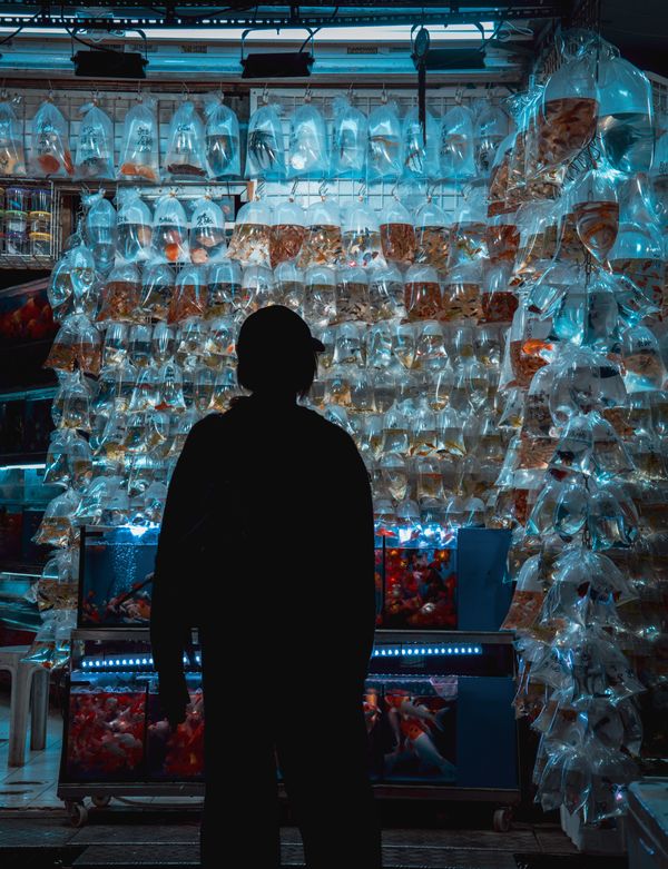 © Paola Panebianco - Image from the Presence in Transit photography project