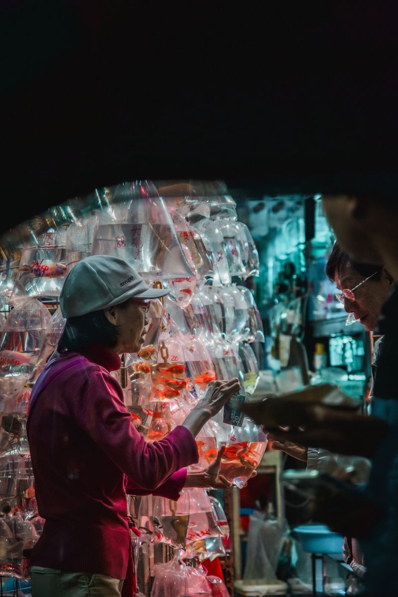 © Paola Panebianco - Image from the Presence in Transit photography project