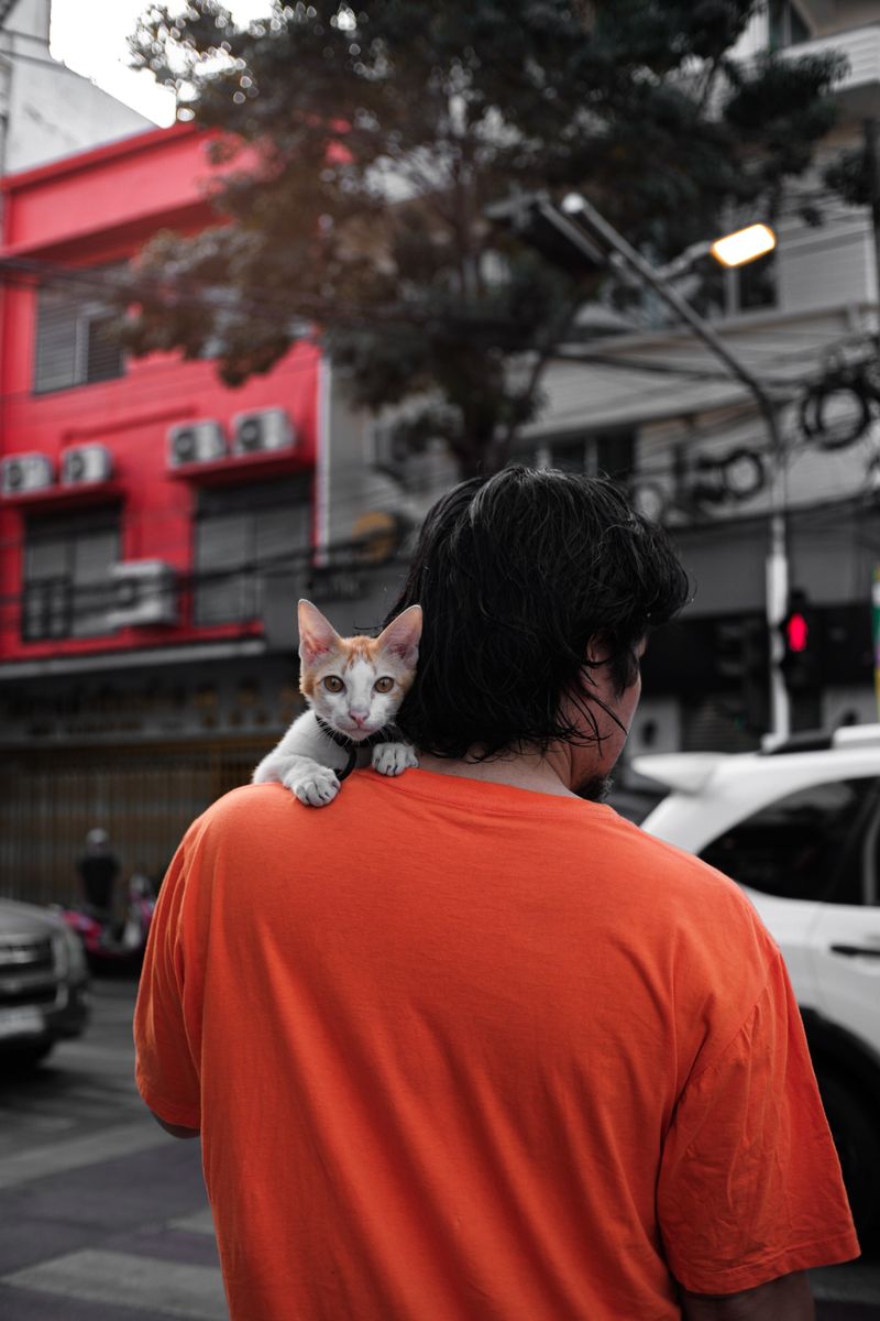 © Paola Panebianco - Image from the Presence in Transit photography project