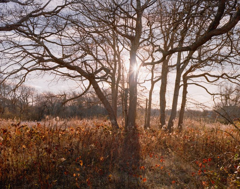© Kevin Sweeney - Bone Hill Road. Barnstable, MA.