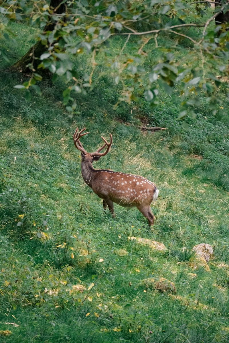 © Jenny Egger - Image from the HIRAETH photography project