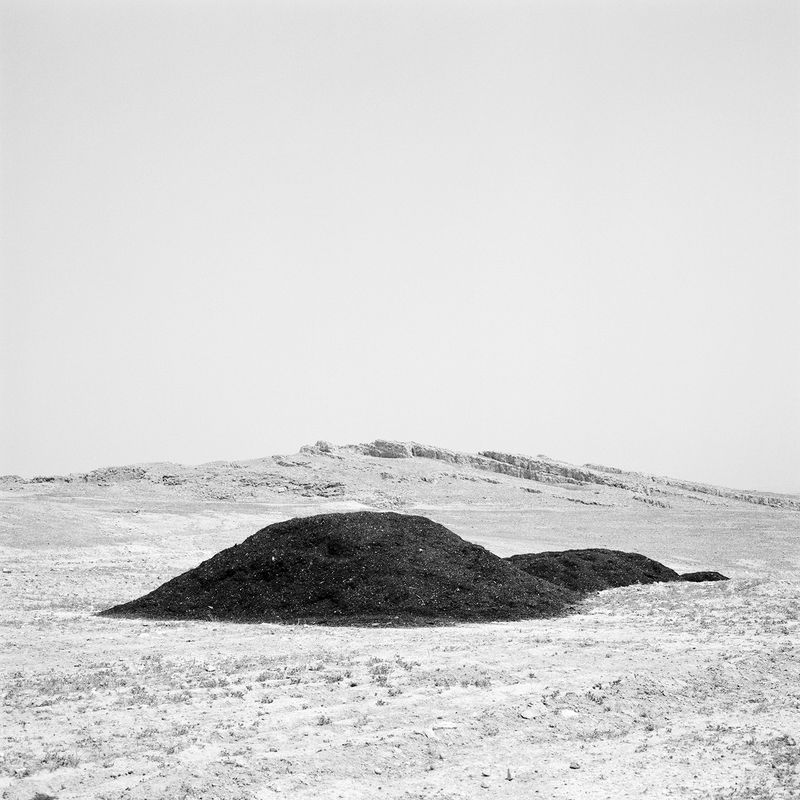 © Dana Ariel - constructs part one