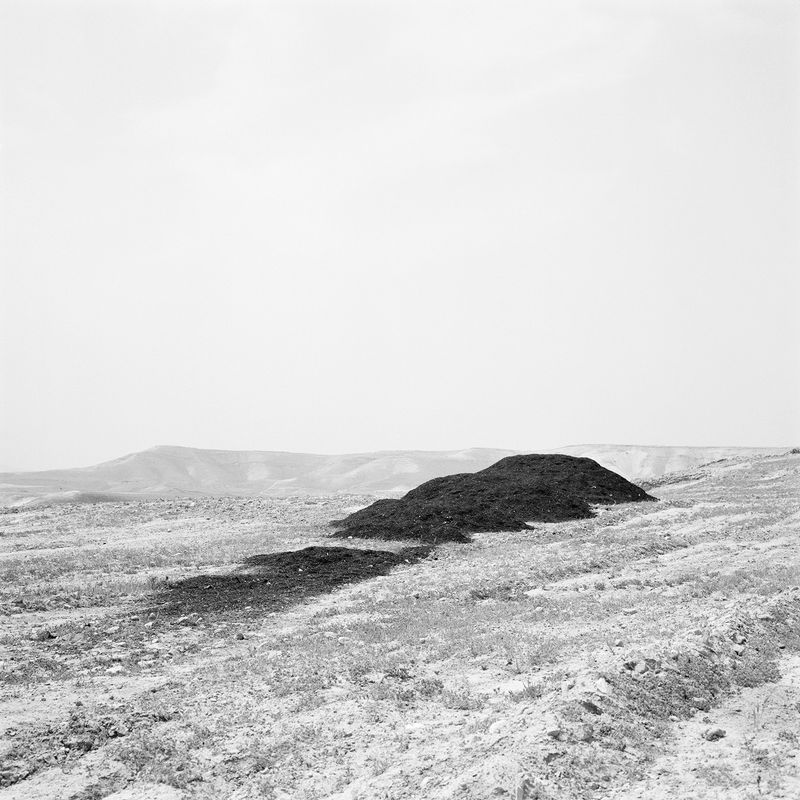© Dana Ariel - constructs part two