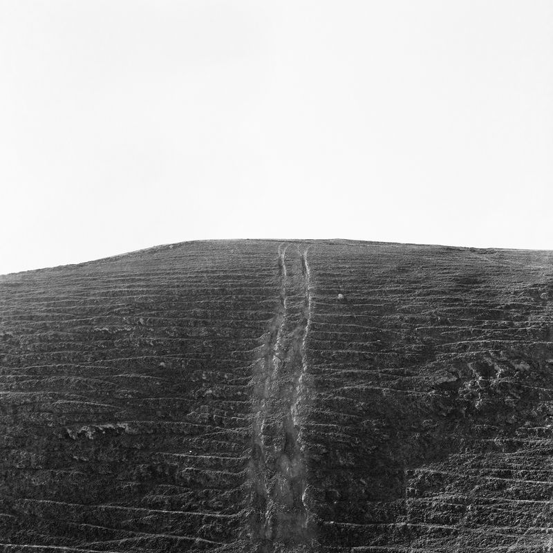 © Dana Ariel - imprints