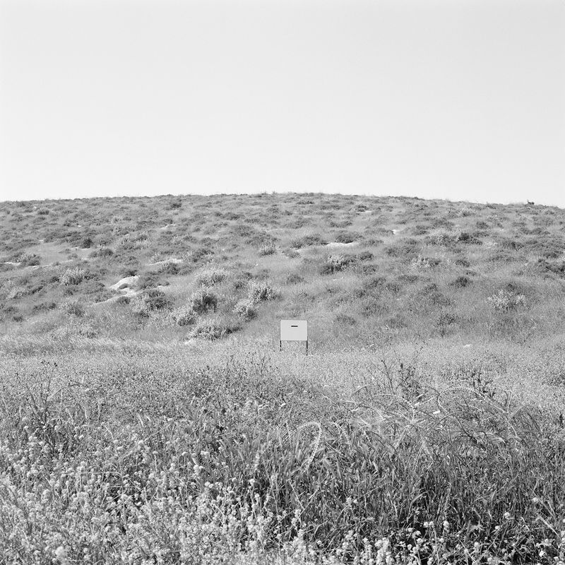 © Dana Ariel - מטרה , هدف, target, 2022
