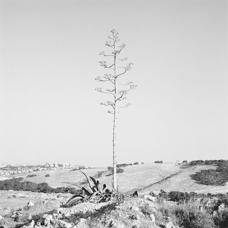 © Dana Ariel - Image from the Punctuated Land photography project