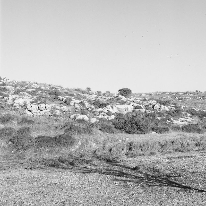 © Dana Ariel - תל, تل (mound), 2020