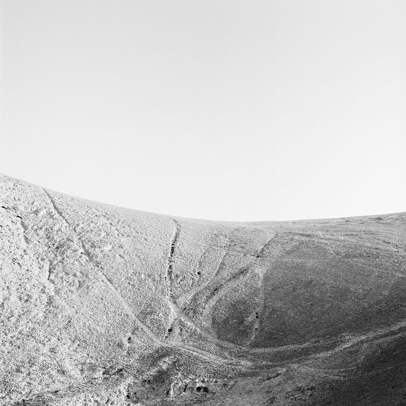© Dana Ariel - רישומים, رسم (drawings), 2019