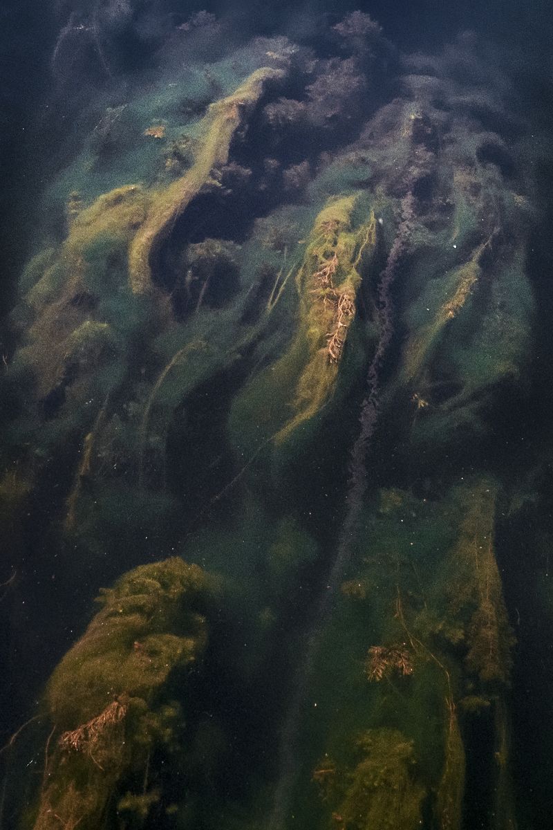 © Eftychia Vlachou - Image from the Springs of a hundred affections photography project