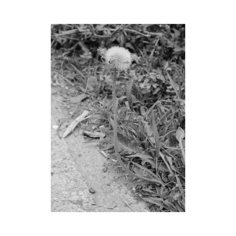 © Amber Mahoney - Image from the Blank lines do not say nothing photography project