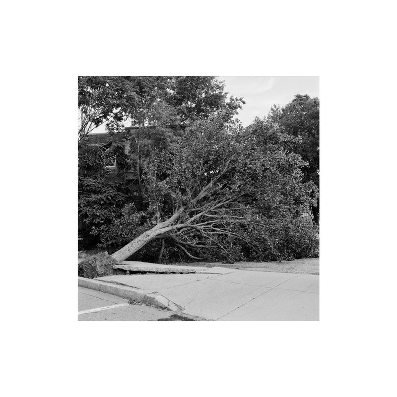 © Amber Mahoney - Image from the Blank lines do not say nothing photography project