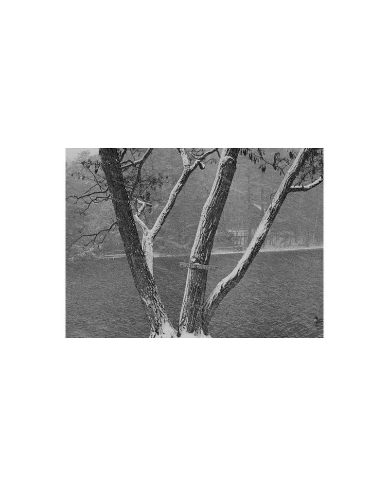 © Amber Mahoney - Image from the The life happening here photography project