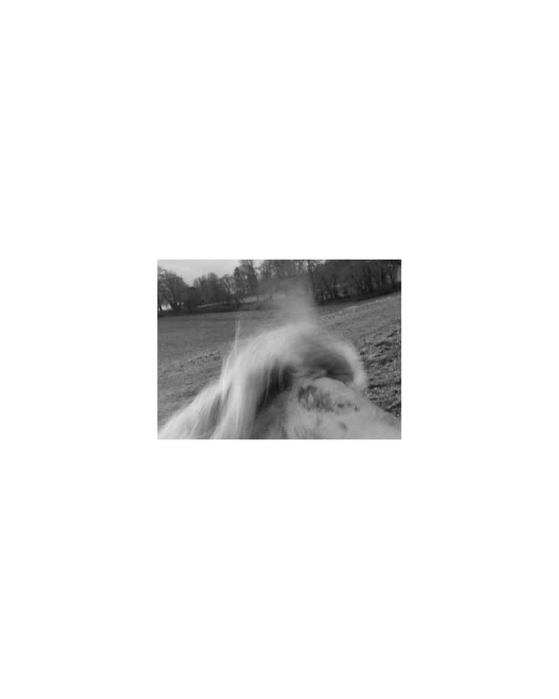 © Amber Mahoney - Image from the The life happening here photography project