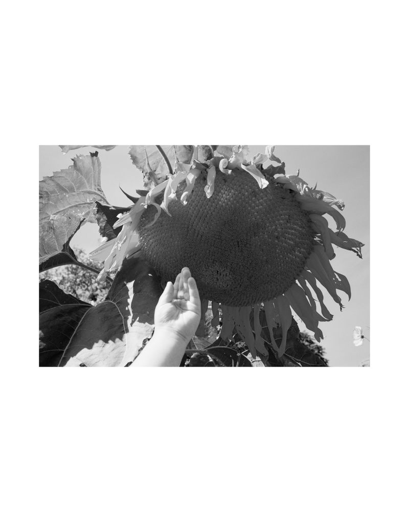 © Amber Mahoney - Image from the The life happening here photography project