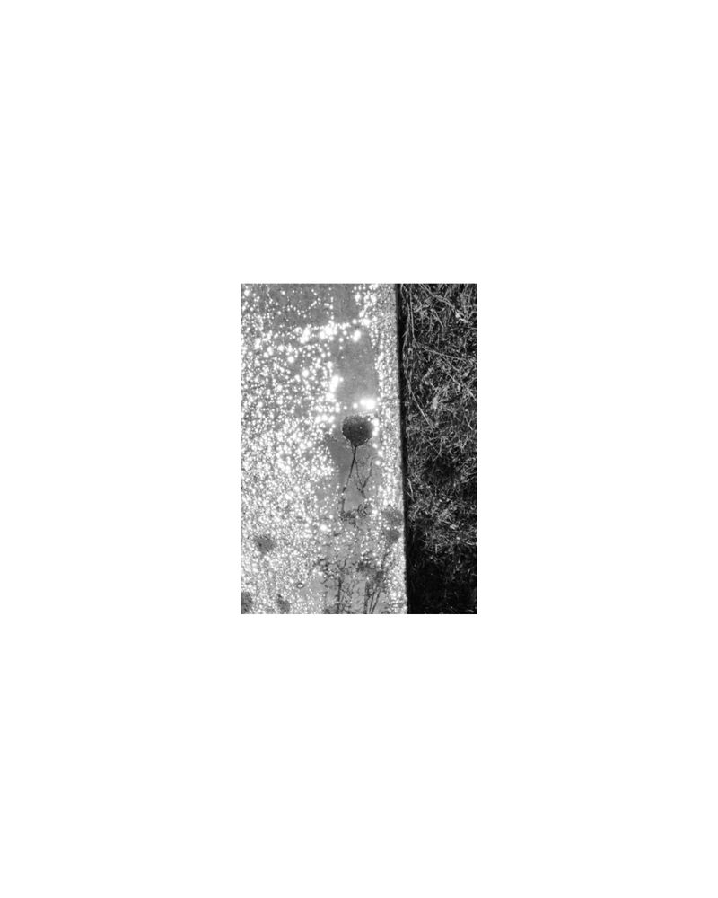 © Amber Mahoney - Image from the The life happening here photography project