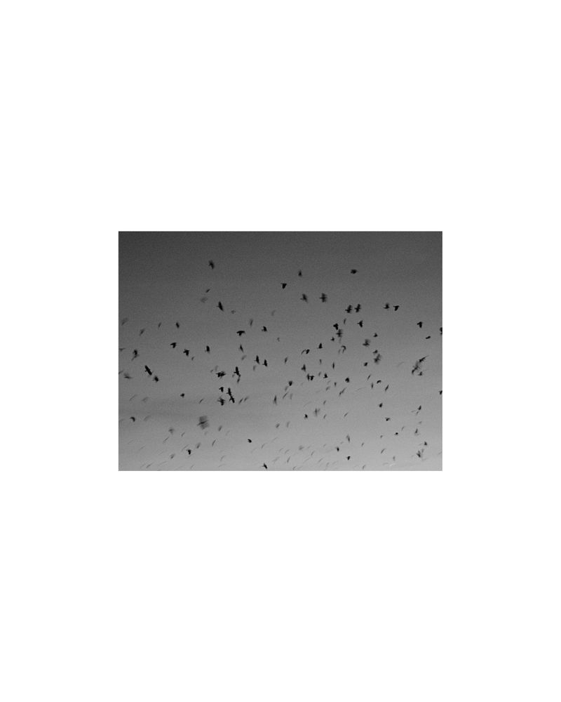 © Amber Mahoney - Image from the The life happening here photography project