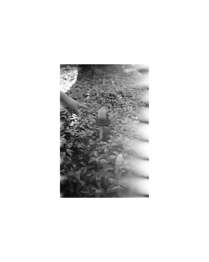 © Amber Mahoney - Image from the The life happening here photography project