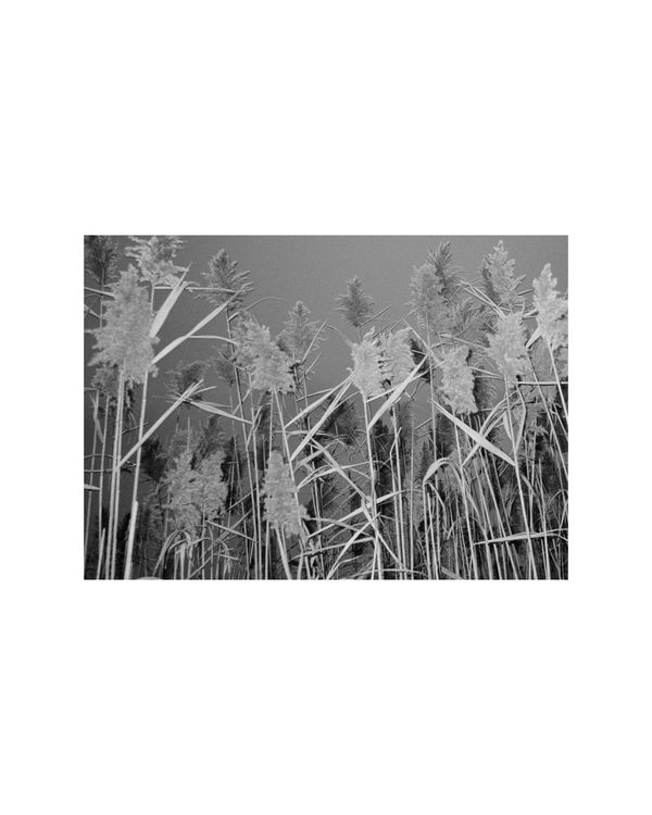 © Amber Mahoney - Image from the Blank lines do not say nothing photography project