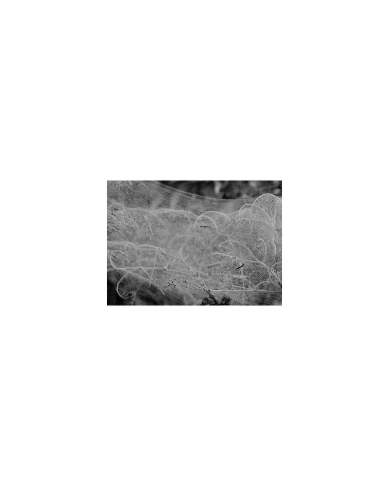 © Amber Mahoney - Image from the Blank lines do not say nothing photography project