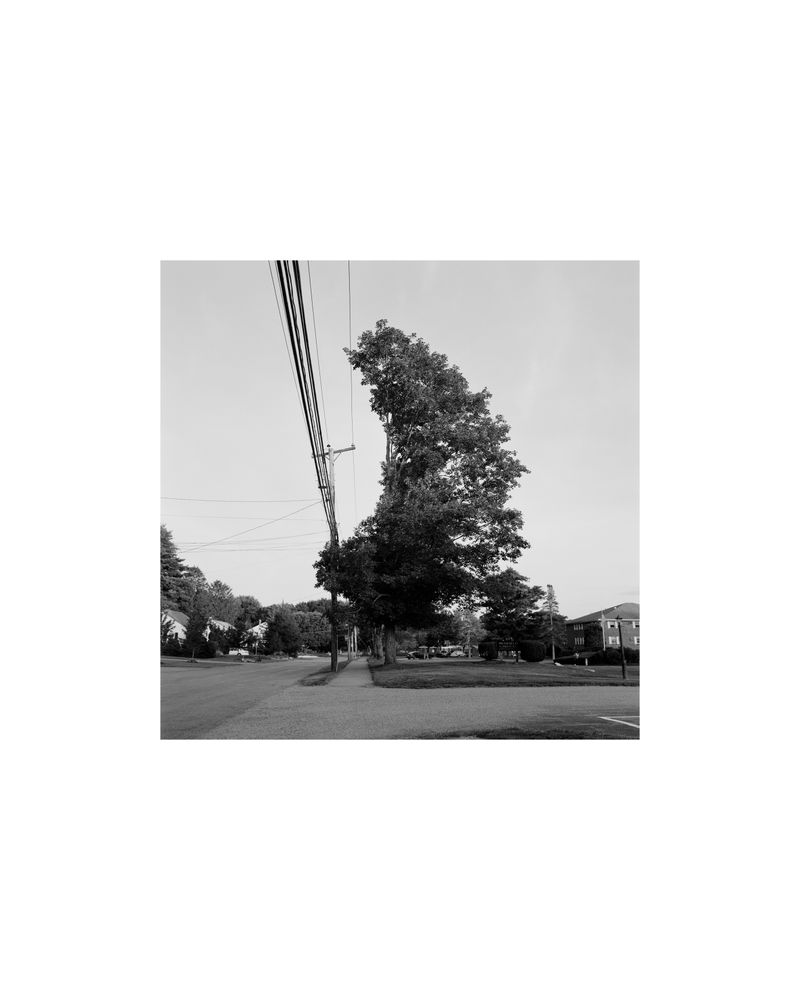 © Amber Mahoney - Image from the Blank lines do not say nothing photography project