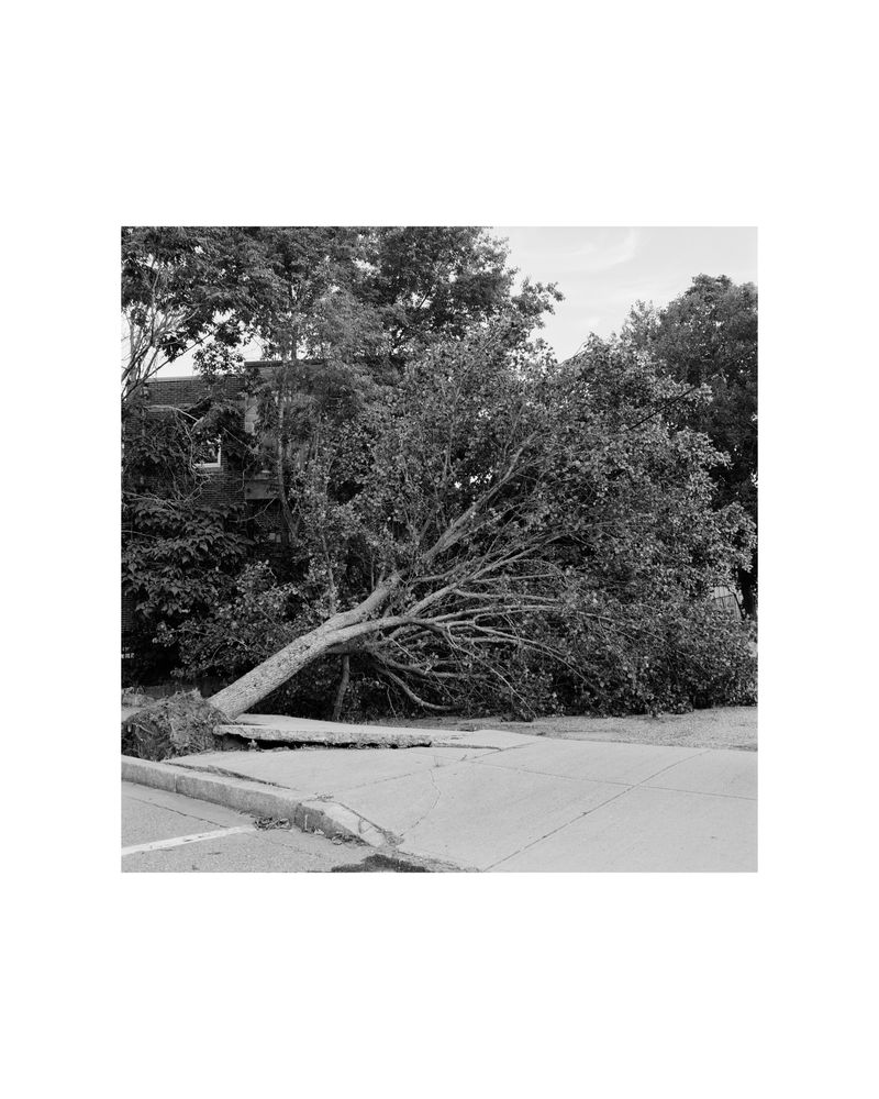 © Amber Mahoney - Image from the Blank lines do not say nothing photography project