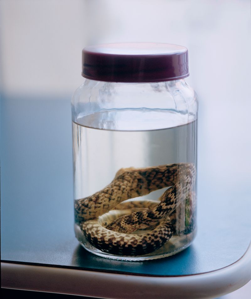 © Léa Marina - Image from the Meu anjo photography project