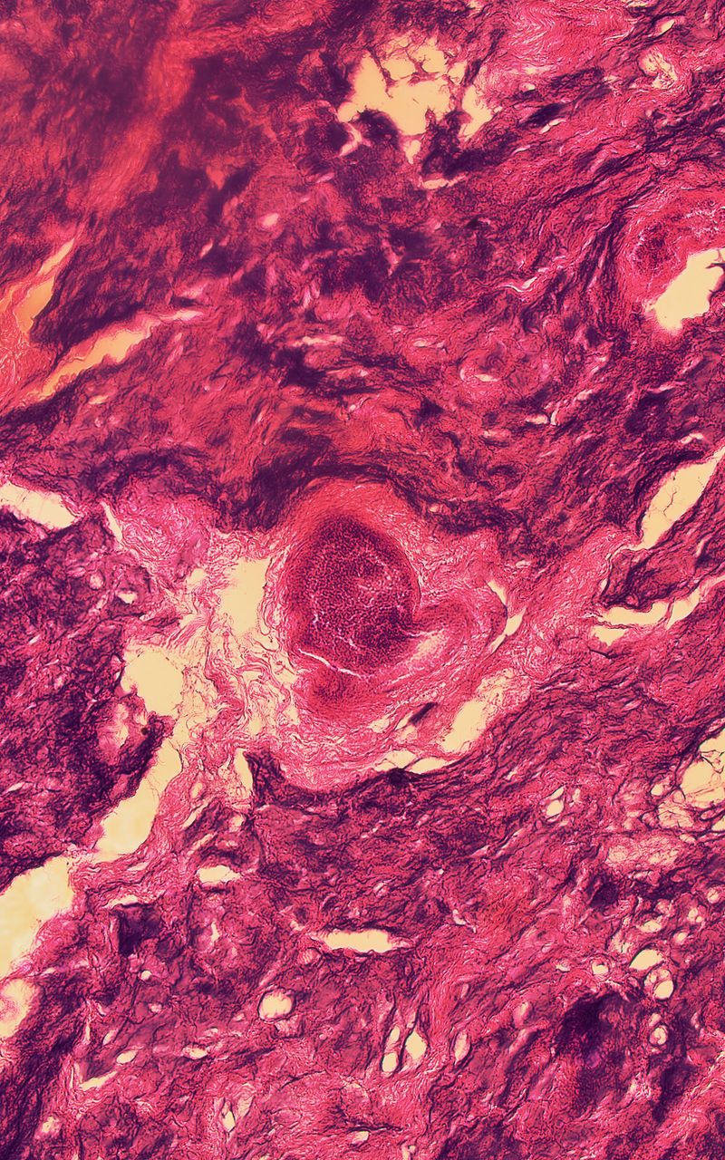 © Grzegorz Wełnicki - Image from the US photography project