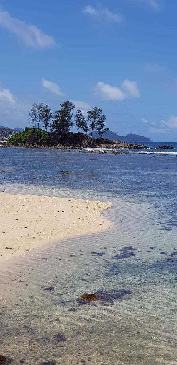 © Shir Beck - Image from the Eilat sea sun photography project