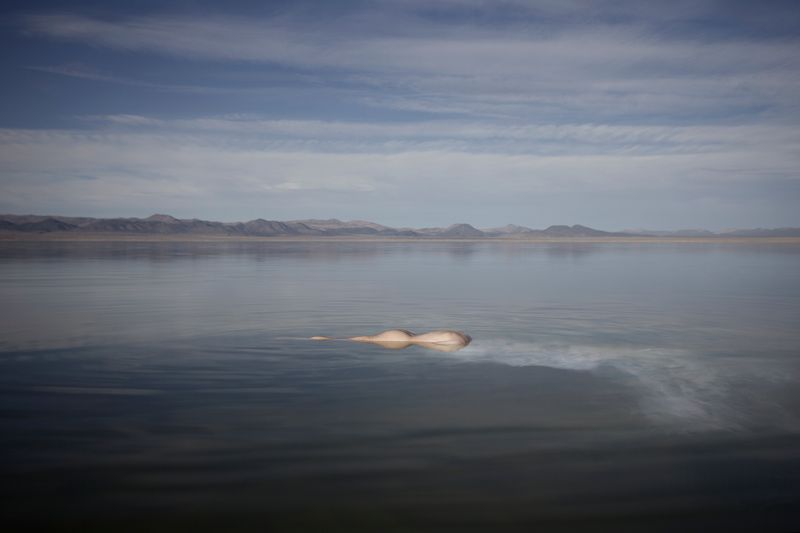 © Ville Kansanen - Thaw - Mono Lake, CA