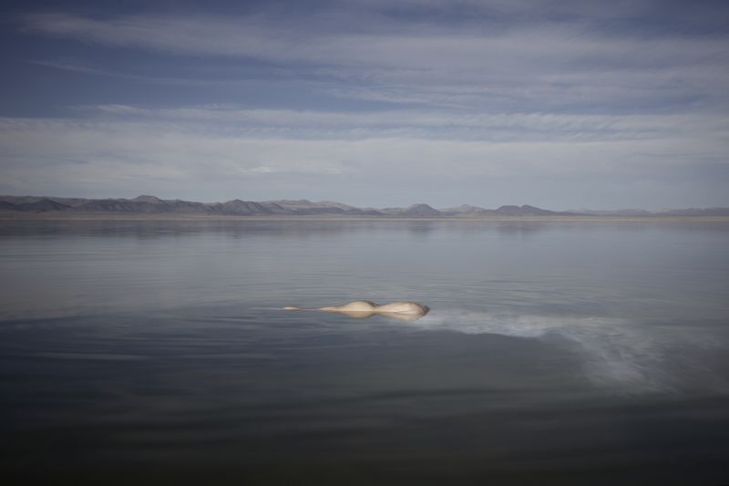 © Ville Kansanen - Thaw - Mono Lake, CA