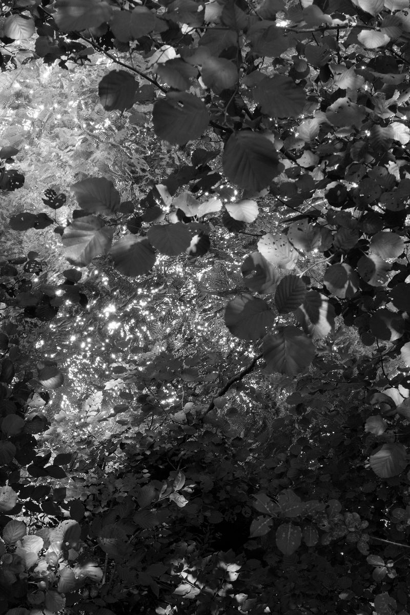 © Eva Liatsi-Douvitsa - Image from the WITHIN inFERTILE unCOMMON GROUNDS photography project