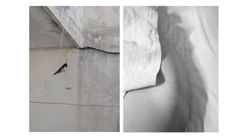 © Eva Liatsi-Douvitsa - Image from the INFERTILE photography project