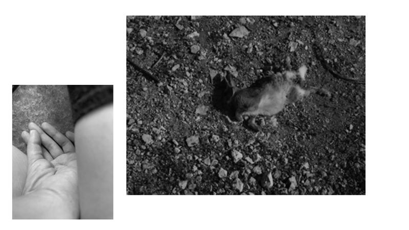 © Eva Liatsi-Douvitsa - Image from the INFERTILE photography project