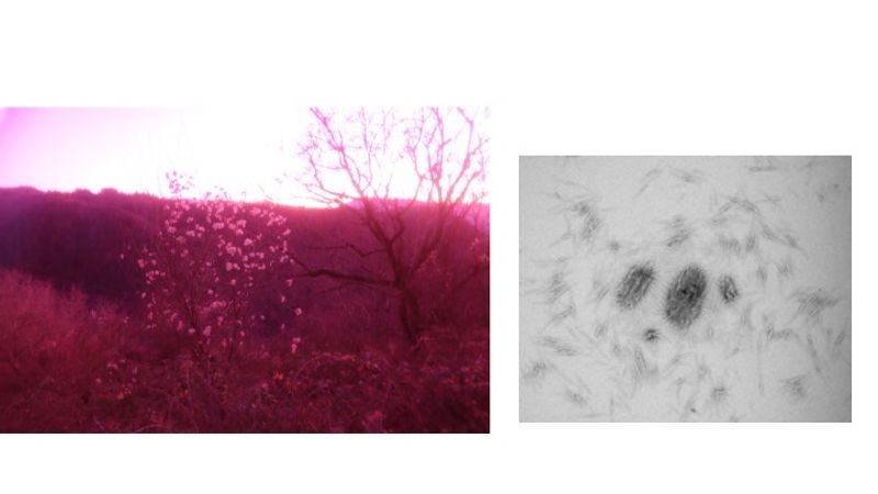 © Eva Liatsi-Douvitsa - Image from the INFERTILE photography project