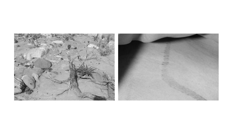 © Eva Liatsi-Douvitsa - Image from the INFERTILE photography project