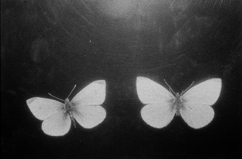 © jieyu deng - Image from the The taste of salt photography project