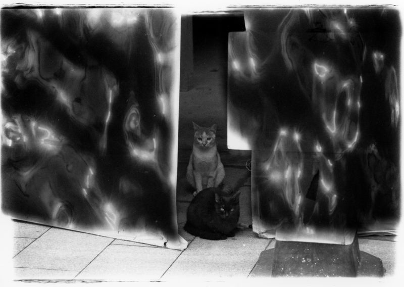 © jieyu deng - Image from the The taste of salt photography project